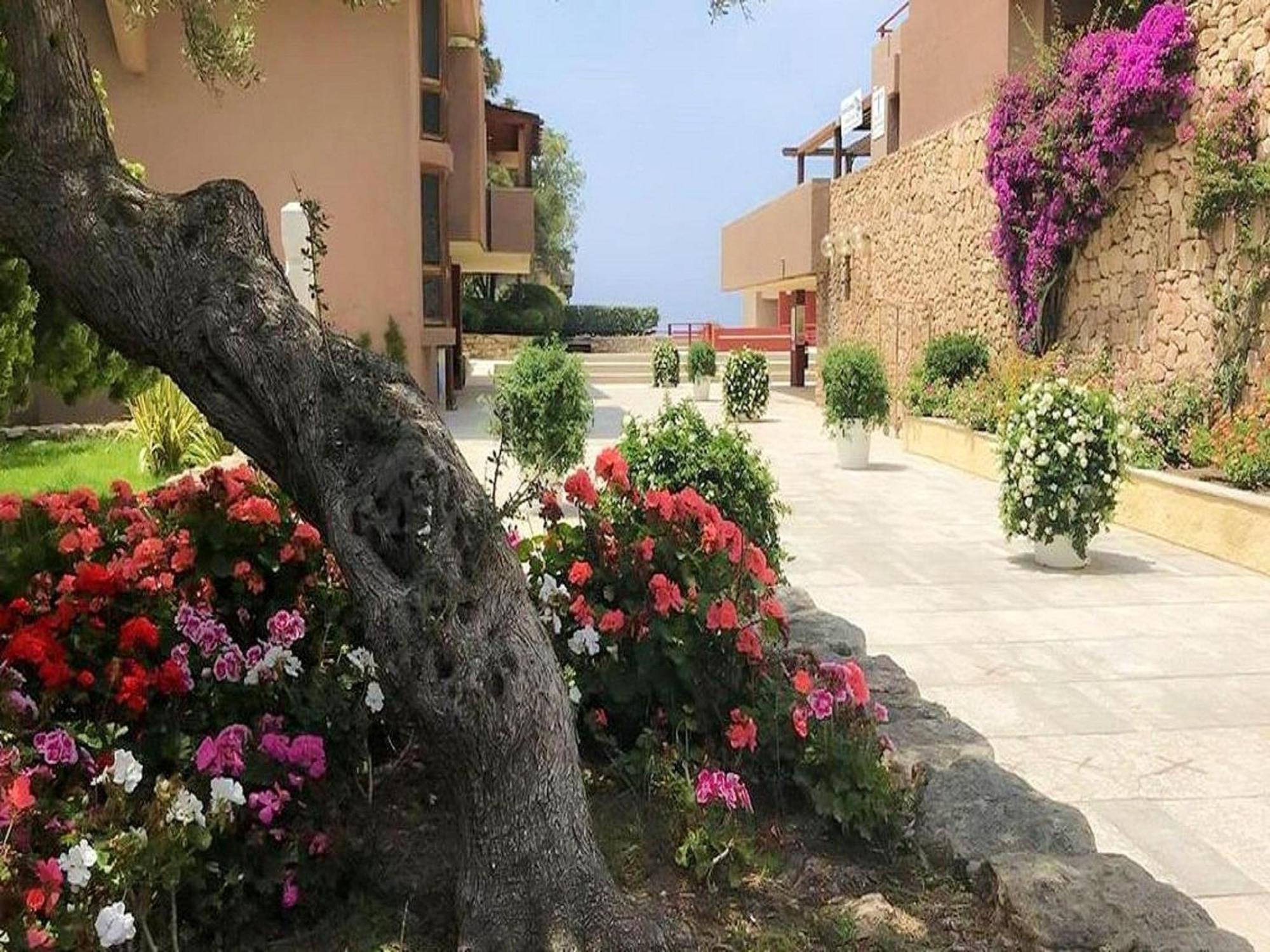 Belvilla By Oyo Cugnana Mono 4 Bis Olbia